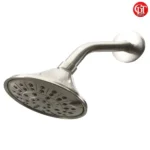 Brush Nickel Wall Shower